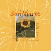 Sunflower song art