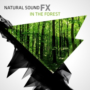 Natural Sound FX: In the Forest