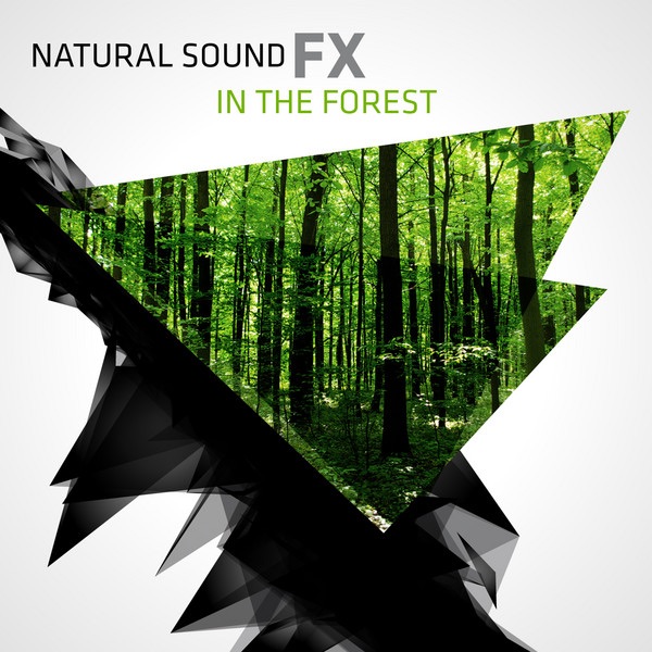 Natural Sound FX: In the Forest