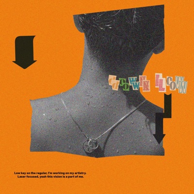 Down Low - Single