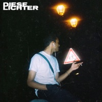 Diese Lichter - Single - NALI