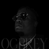 What Would You Do - Single - Brey