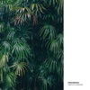 Tropic of Capricorn - Single