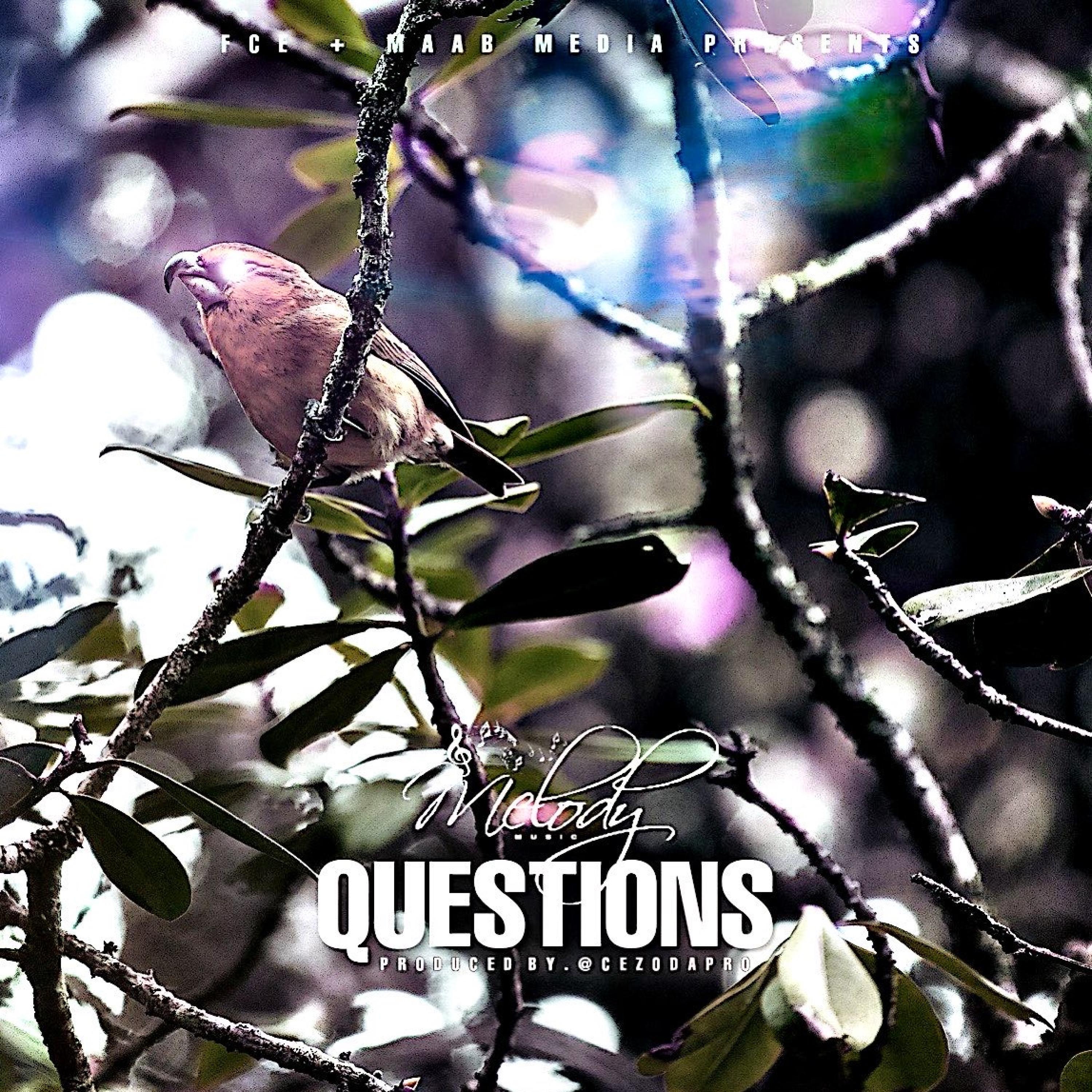 FM MELODY - QUESTIONS (D Instrumental) (Music by Fotis Milios)