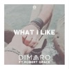 What I Like (feat. Robert Grace) - Single