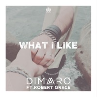 What I Like (feat. Robert Grace) - Single - diMaro