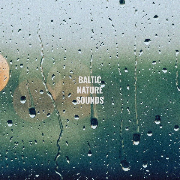 Rain Sounds Vol. 2 - EP