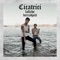 Cicatrici (feat. Brrradpitt) - Lafiche lyrics