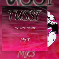 Tussi (Remix) - Single - DJ Tomi Pirchio