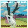 Sweetgrass Blues Band - When the Lights Go Out