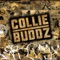 Blind to You - Collie Buddz lyrics