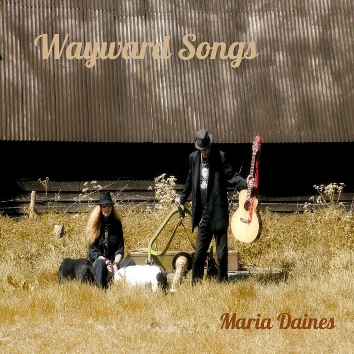 Maria song. Maria Daines - Wayward Songs (2015). Maria Daines альбомы. Maria Daines обложки CD.