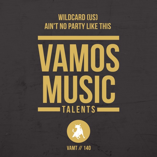 Ain't No Party Like This - Single