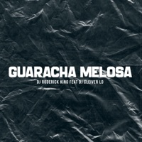 Guaracha Melosa (feat. Dj Cleiver LD) - Single - Dj Roderick