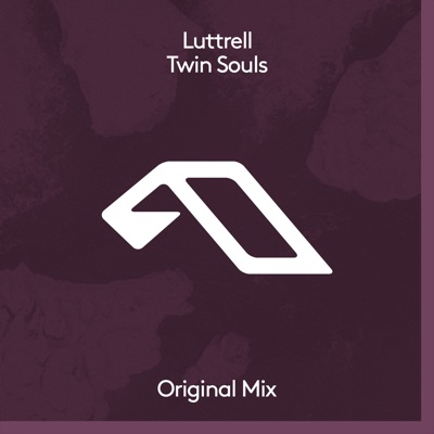 Twin Souls (Extended Mix) cover art