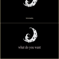 What Do You Want - Single - Yun Fajita