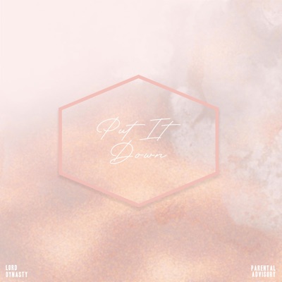 Put It Down - Single