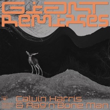 Giant (Back N Fourth Remix) artwork