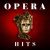 Opera Hits - Various Artists