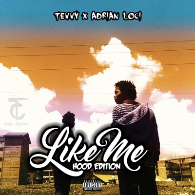 Like Me (feat. Tevvy) - Single