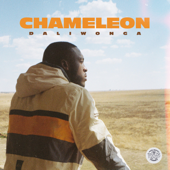 Chameleon - Daliwonga