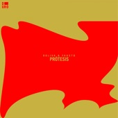 Protesis (Simple Symmetry Remix) artwork