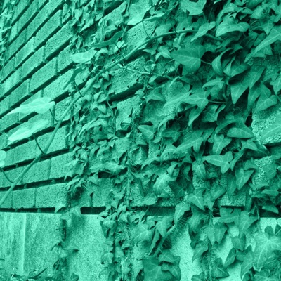 December Lullaby - Single