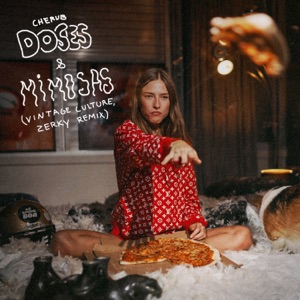 Doses & Mimosas (Vintage Culture & Zerky Remix) [Radio Edit]