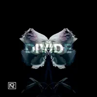 Worth the Fight (Acoustic Version) — No Resolve