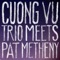 Telescope - Cuong Vu & Pat Metheny lyrics