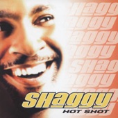 It Wasn't Me (feat. Ricardo Ducent) by Shaggy