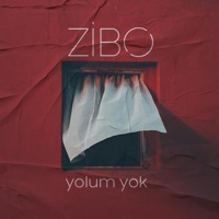 Yolum Yok - Single - Zibo