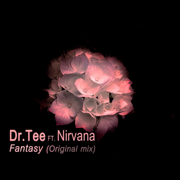 Fantasy (feat. Nirvana) - Single - Dr.Tee