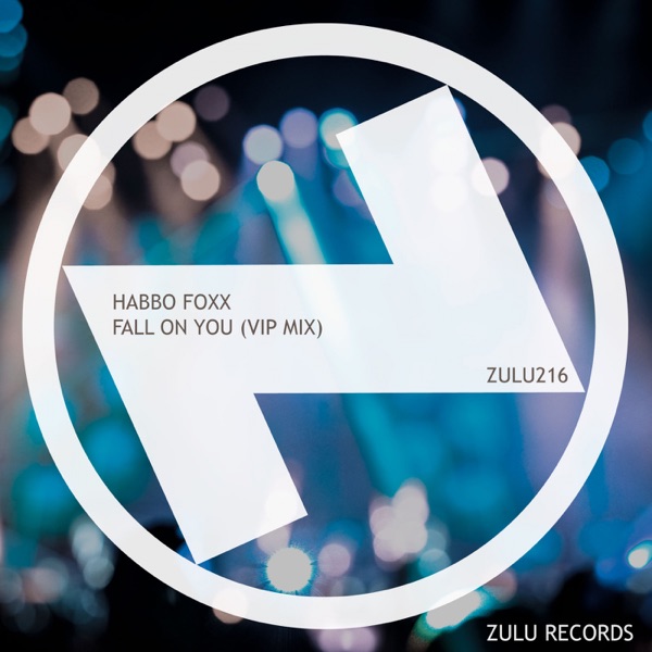 Fall On You (VIP Mix) - Single
