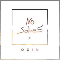 No Sabes - Single - Ozin