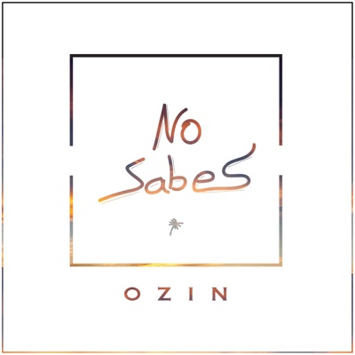 No Sabes - Single