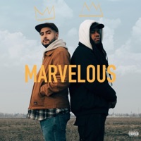 Marvelous (feat. Fego Navarro) - Single - Mali Q