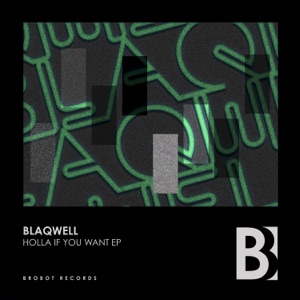 Holla If You Want - Single