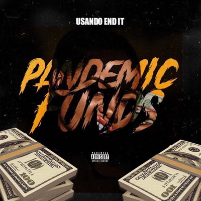 Pandemic Funds - Single