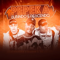 Pepeka Subindo e Descendo - Single - Shevchenko e Elloco & Mc Calvin