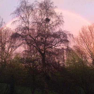 Kind, Ga Toch Stralen - Single