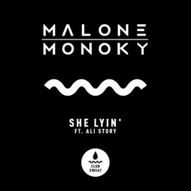 She Lyin' (feat. Ali Story) Malone & Monoky