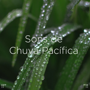 !!" Sons De Chuva Pacífica "!!