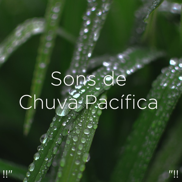 !!" Sons De Chuva Pacífica "!!