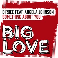 Something About You (feat. Angela Johnson) - Single - Birdee