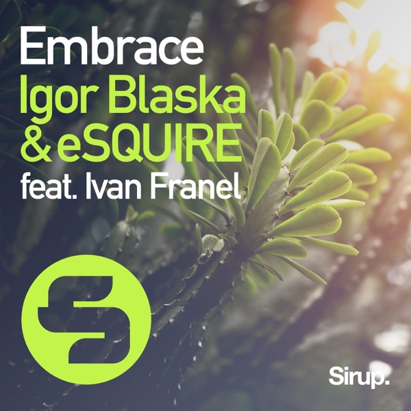 Embrace (feat. Yvan Franel) - Single