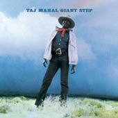 Taj Mahal - A Little Soulful Tune (Album Version)