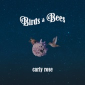 birds & bees artwork