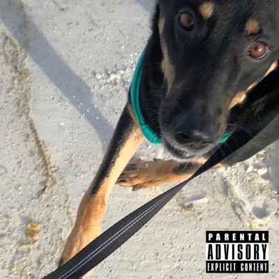 Gimme the Reins - Single