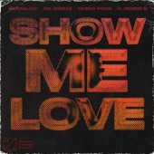Show Me Love (feat. Robin S) artwork